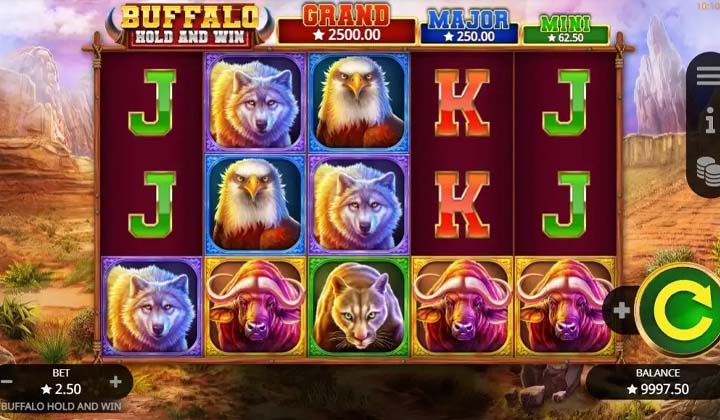 Buffalo Hold and Win
